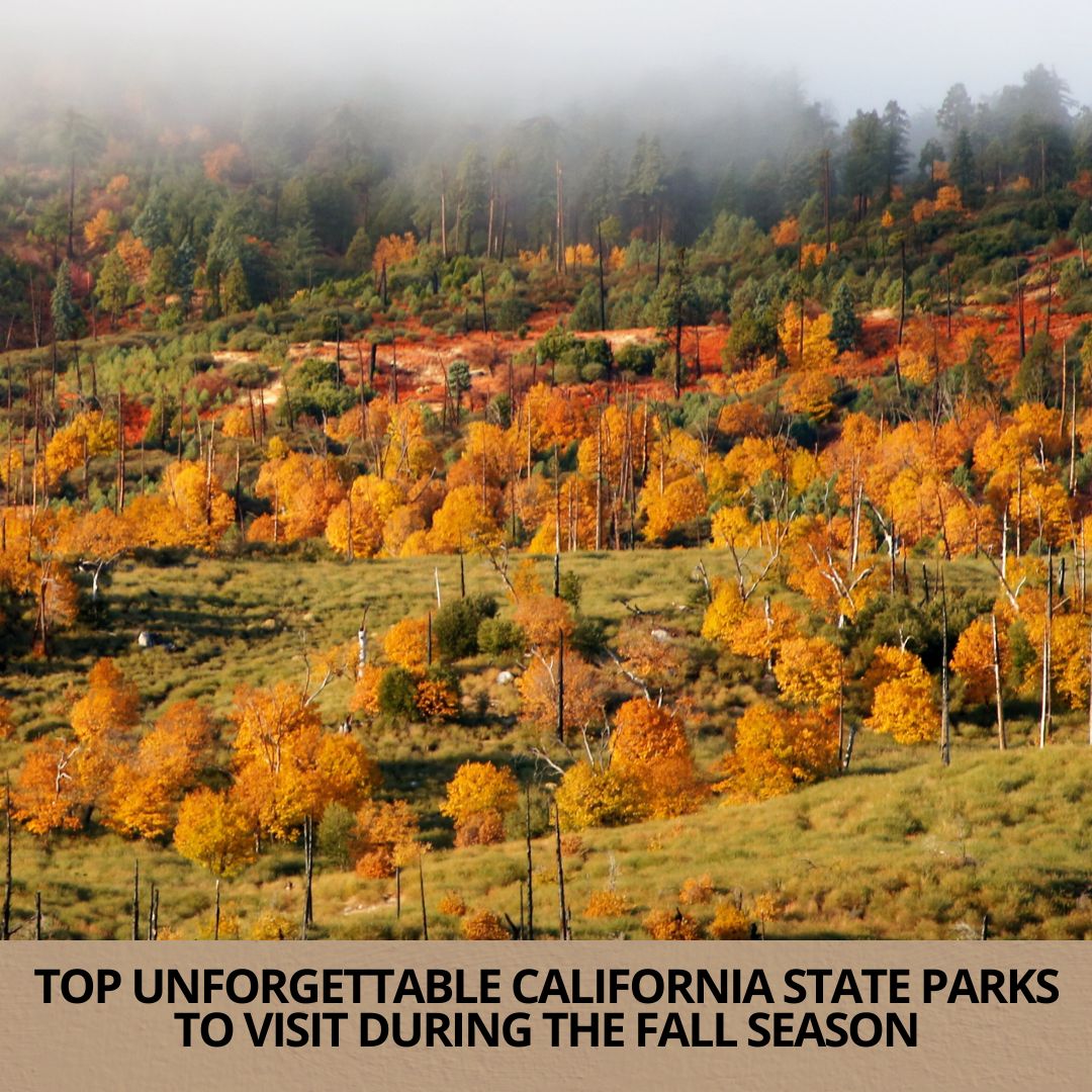 Top Unforgettable California State Parks to Visit During the Fall Season